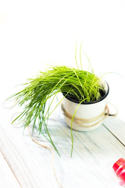 Becher mit Pflanze auf hölzernem Hintergrund — Stockfoto