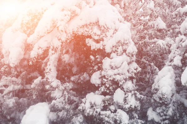 Zimní sněžení v obci. Zasněžené kolaps — Stock fotografie