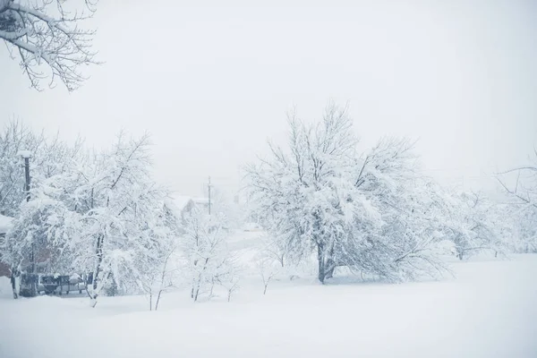 Winter snowfall in the village. Snowy collapse — Stock Photo, Image