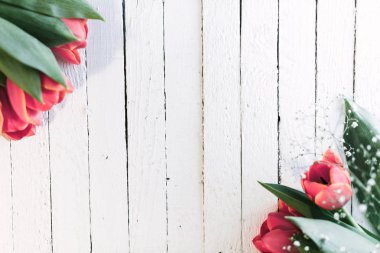 Beyaz ahşap zemin üzerinde kırmızı canlı Lale