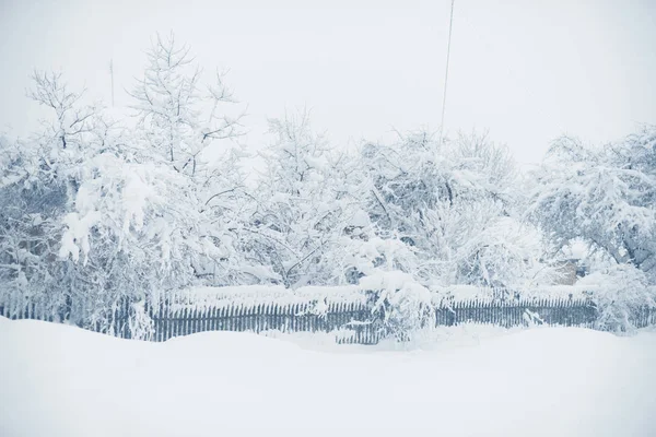 Winter snowfall in the village. Snowy collapse — Stock Photo, Image