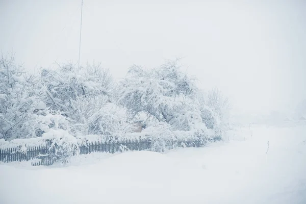 Winter snowfall in the village. Snowy collapse — Stock Photo, Image