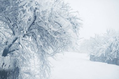 Köyün kış kar yağışı. Karlı Daralt