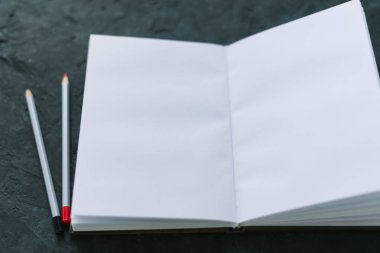 Kalem mocap ile not etmek. Metin için yer