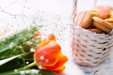 Macaroons sepet yakınındaki çiçek açması laleler