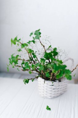 Dalları ahşap arka plan üzerinde bir sepet içinde yeşil yaprakları ile