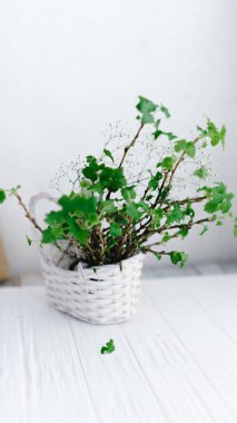 Dalları ahşap arka plan üzerinde bir sepet içinde yeşil yaprakları ile