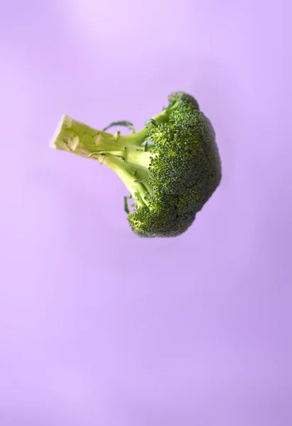 Fresh broccoli in the air on a purple background
