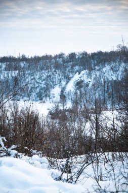 Akşamları kar altında kış parkı