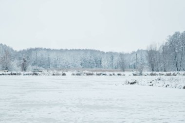 Parkta gölet yakınındaki doğada kış karlı gün