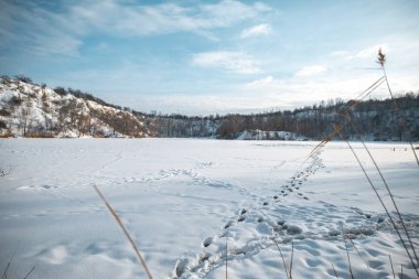 Akşamları kar altında kış parkı