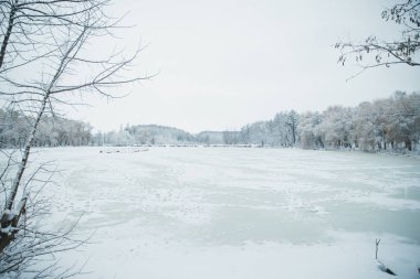 Parkta gölet yakınındaki doğada kış karlı gün