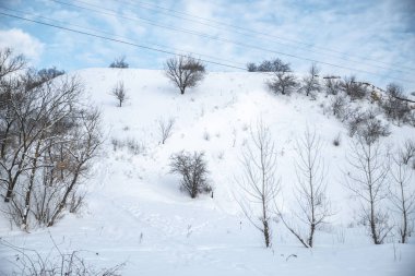 Akşamları kar altında kış parkı