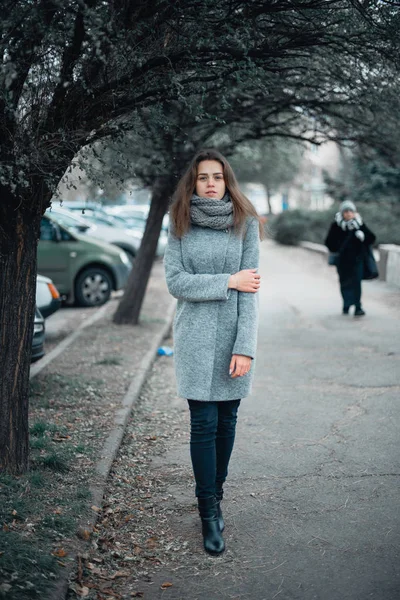Menina em um casaco cinza no inverno na cidade — Fotografia de Stock
