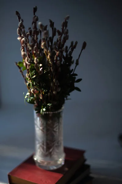 Spruce branches on the books in a glass vase on a white wooden background — Stock Photo, Image