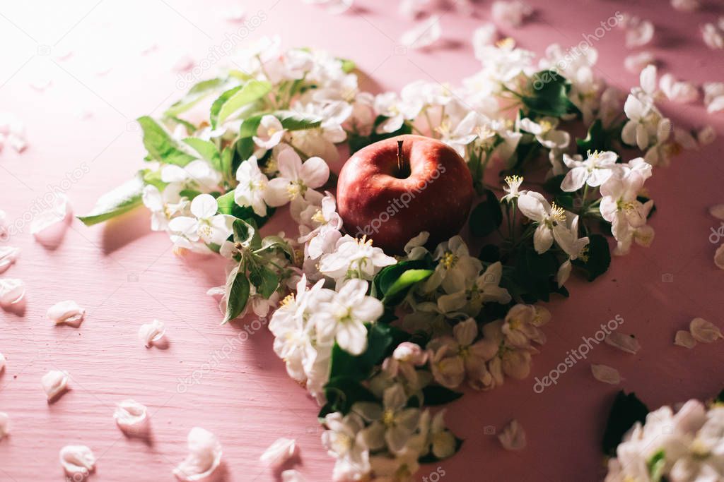 Apple flowers on a pink wooden background