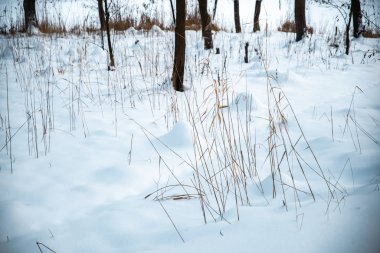 Akşamları kar altında kış parkı