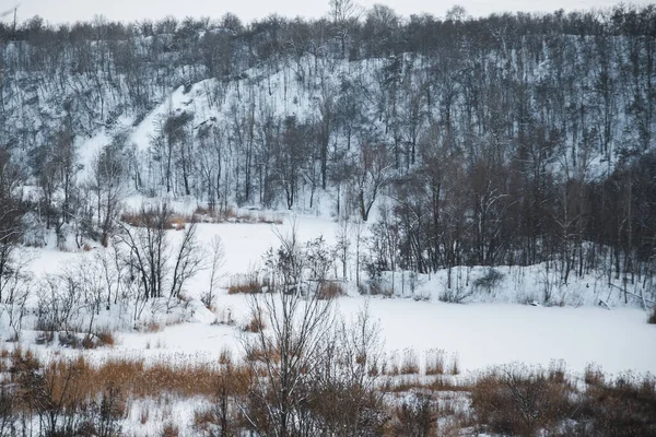 Akşamları kar altında kış parkı