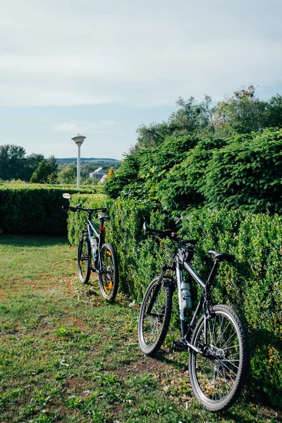 Two sport bikes in a spring park on a sunny day — 图库照片