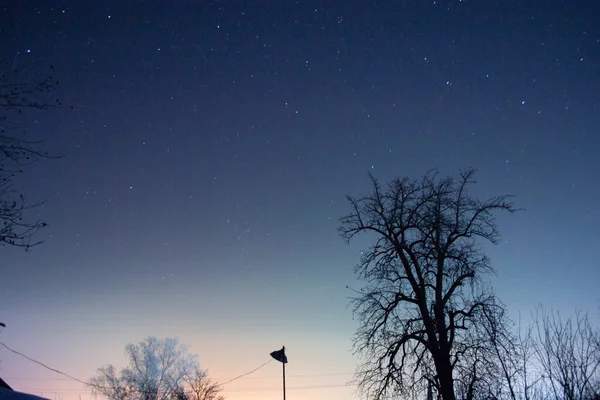 Cielo estrellado nocturno en el campo — Foto de Stock