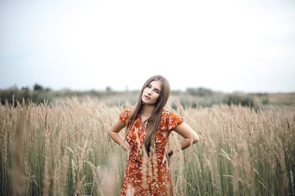 Girl in a red dress on a wheat field — Stok fotoğraf