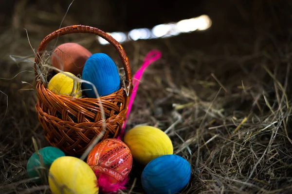 Easter eggs in a basket on a hay with a blurred background — Stock Photo, Image