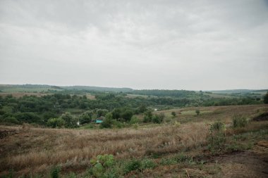 Yaz manzarası doğada bulutlu bir yağmurlu günde