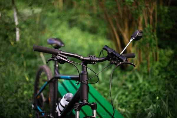 Гірський спортивний велосипед біля лави в зеленому парку — стокове фото