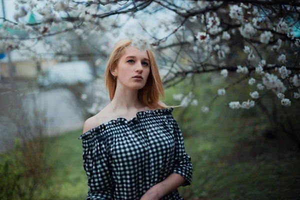 Gyönyörű fiatal szőke lány a háttérben virágzó fák — Stock Fotó