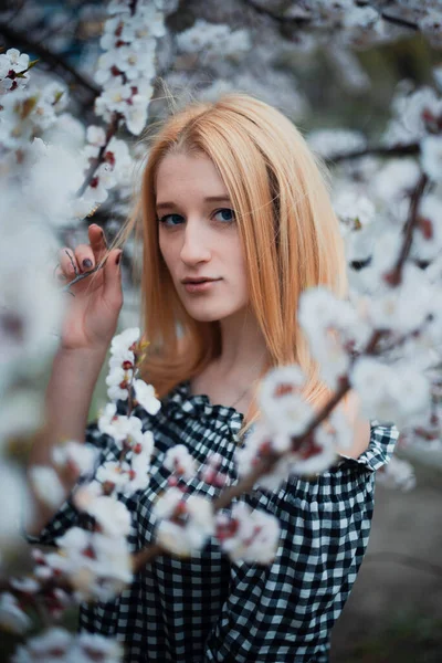 Çiçek açan ağaçların arka planında güzel sarışın bir kız — Stok fotoğraf