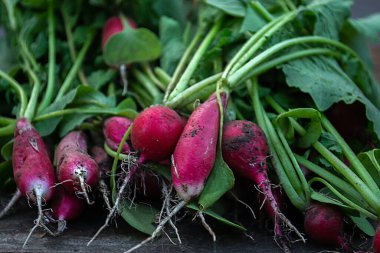 Eski ahşap bir arka planda yazlık evi olan turp..