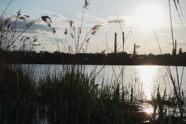 Yağmurdan önce kırsal alanda bahar akşamı manzarası