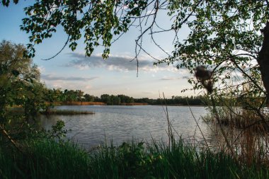 Yağmurdan önce kırsal alanda bahar akşamı manzarası
