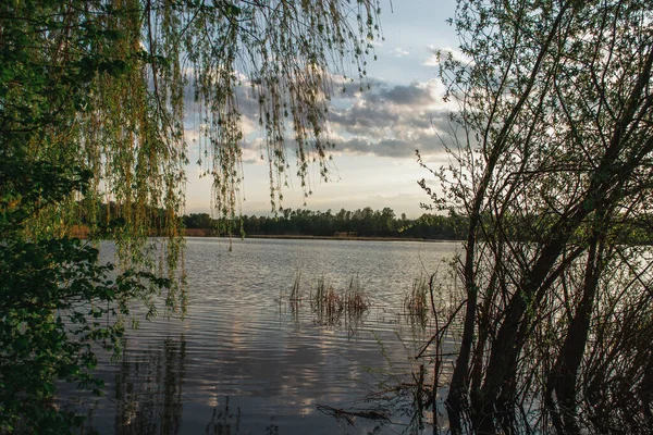 Весняний вечірній пейзаж у сільській місцевості перед дощем — стокове фото