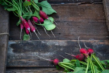 Eski ahşap bir arka planda yazlık evi olan turp..