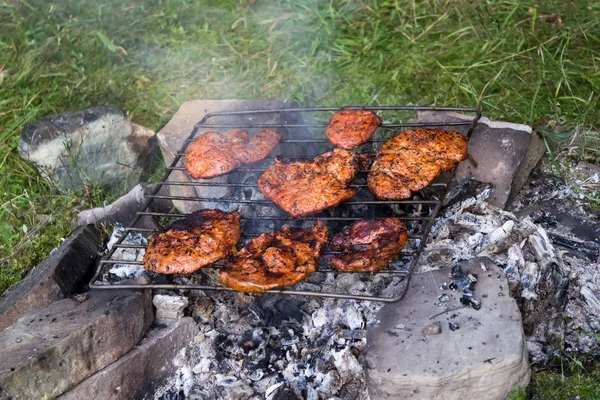 Mięso na grillu — Zdjęcie stockowe