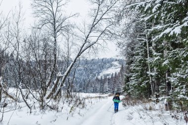 Kış günü ormanda