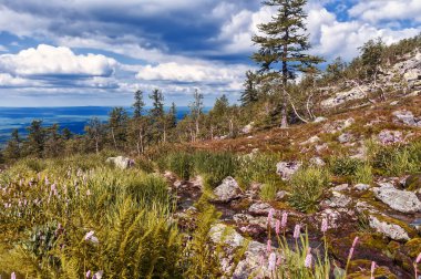 Güneşli bir günde Ural Dağları