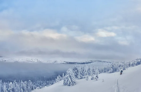 Gruppe von Skifahrern bei der Skiausfahrt auf den Berg — Stockfoto