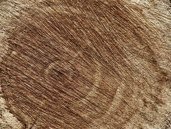 Textura de fondo de un árbol cortado — Foto de Stock