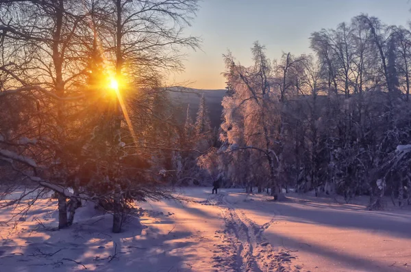 Naplemente-a téli sí út, a Dél-Urál, hó, erdő — Stock Fotó