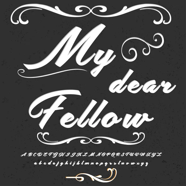 Hand drawn typeface set named My dear Fellow Brush painted characters  lowercase and uppercase- Handwritten script font Typography alphabet for your designs — Stock Vector