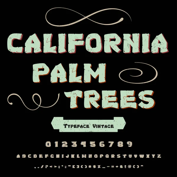 Hand drawn typeface set named  california palm trees Brush painted characters  lowercase and uppercase  Handwritten script font Typography alphabet for your designs — Stock Vector