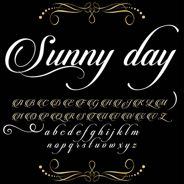 Script Font Typeface Sunny day vintage script-font Vector typeface for labels and any type designs