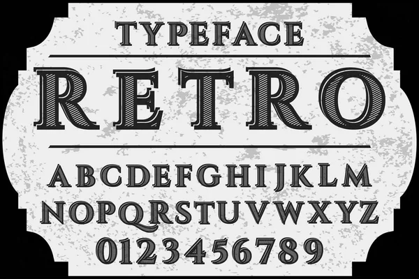 Font Hand Drawn Vector Script Ornaments Calligraphic Alphabet Typeface Vector — Stock Vector
