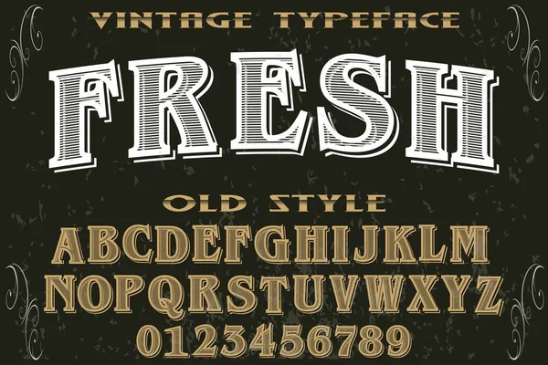 Vintage Font Alfabeto Escritura Vectorial Hecho Mano Diseño Escrito Mano — Vector de stock