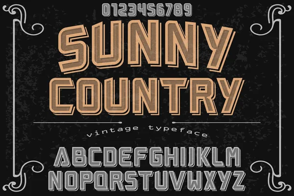 Vintage Font vector hecho a mano llamado país soleado — Vector de stock