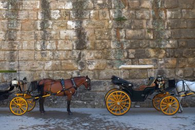 Spanish touristic carriages and horses clipart