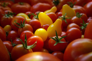 Kırmızı ve sarı kiraz domatesleri