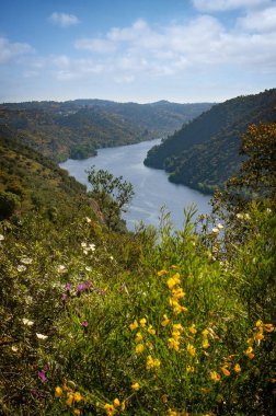 Belver Köyü ve Tagus Nehri
